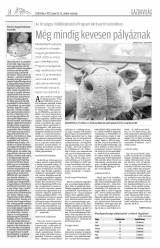 Csíki Hírlap XII. évfolyam 9. szám