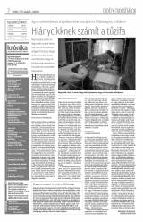 Krónika XIX. évfolyam, 17. szám