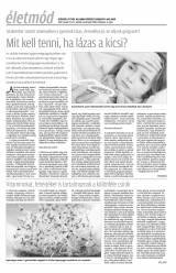 Krónika XIX. évfolyam, 18. szám