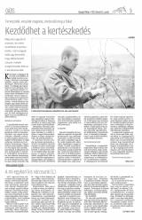 Gyergyói Hírlap VIII. évfolyam 31. szám