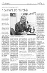Csíki Hírlap XII. évfolyam 31. szám
