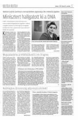 Krónika XIX. évfolyam, 32. szám