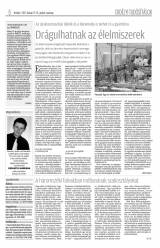 Krónika XIX. évfolyam, 33. szám