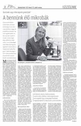 Udvarhelyi Híradó XXVIII. évfolyam, 33. szám