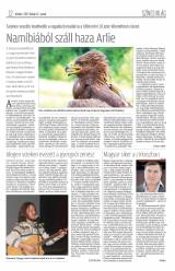 Krónika XIX. évfolyam, 36. szám