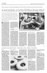 Krónika XIX. évfolyam, 38. szám