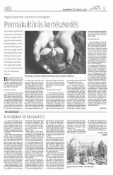 Gyergyói Hírlap VIII. évfolyam 41. szám