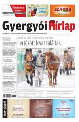 VIII. évfolyam 43. szám