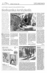 Csíki Hírlap XII. évfolyam 44. szám