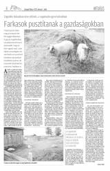 Gyergyói Hírlap VIII. évfolyam 45. szám
