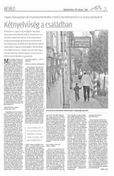 Vásárhelyi Hírlap XI. évfolyam, 45. szám