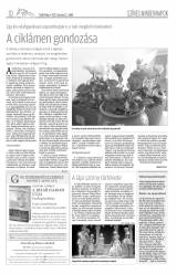 Csíki Hírlap XII. évfolyam 49. szám