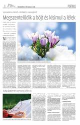 Vásárhelyi Hírlap XI. évfolyam, 50. szám
