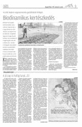 Gyergyói Hírlap VIII. évfolyam 51. szám