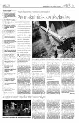 Vásárhelyi Hírlap XI. évfolyam, 54. szám