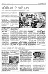 Erdélyi Napló XVII. évfolyam, 12. szám