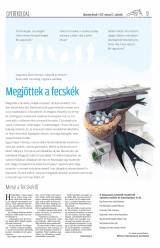 Udvarhelyi Híradó XXVIII. évfolyam, 57. szám