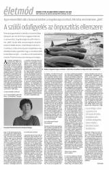 Krónika XIX. évfolyam, 58. szám