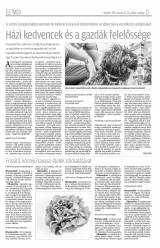 Krónika XIX. évfolyam, 58. szám