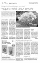 Csíki Hírlap XII. évfolyam 59. szám