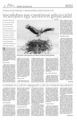 Csíki Hírlap XII. évfolyam 60. szám
