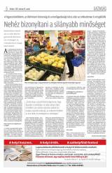 Krónika XIX. évfolyam, 61. szám