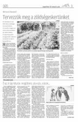 Gyergyói Hírlap VIII. évfolyam 61. szám