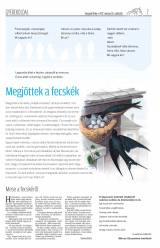 Gyergyói Hírlap VIII. évfolyam 62. szám