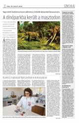 Krónika XIX. évfolyam, 62. szám