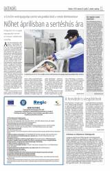 Krónika XIX. évfolyam, 63. szám