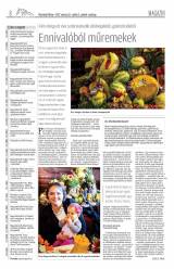 Vásárhelyi Hírlap XI. évfolyam, 63. szám