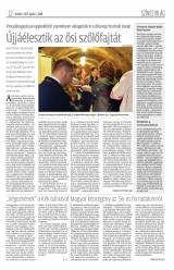 Krónika XIX. évfolyam, 64. szám