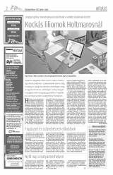 Vásárhelyi Hírlap XI. évfolyam, 65. szám