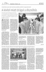 Vásárhelyi Hírlap XI. évfolyam, 66. szám
