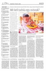 Vásárhelyi Hírlap XI. évfolyam, 67. szám