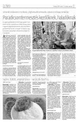 Krónika XIX. évfolyam, 68. szám