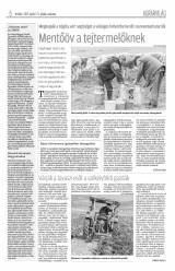 Krónika XIX. évfolyam, 68. szám