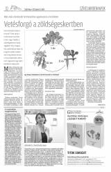 Csíki Hírlap XII. évfolyam 69. szám