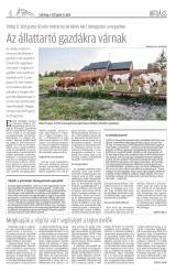 Csíki Hírlap XII. évfolyam 69. szám