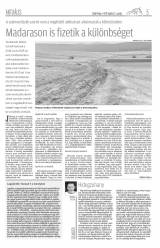 Csíki Hírlap XII. évfolyam 71. szám
