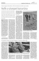 Vásárhelyi Hírlap XI. évfolyam, 74. szám