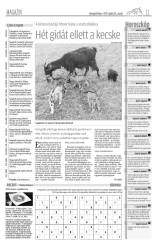 Gyergyói Hírlap VIII. évfolyam 74. szám