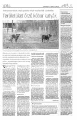 Csíki Hírlap XII. évfolyam 75. szám