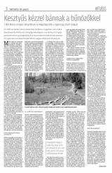 Erdélyi Napló XVII. évfolyam, 16. szám
