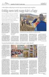 Gyergyói Hírlap VIII. évfolyam 76. szám