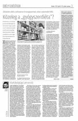 Krónika XIX. évfolyam, 76. szám