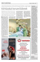 Krónika XIX. évfolyam, 77. szám