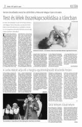 Krónika XIX. évfolyam, 79. szám