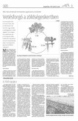 Gyergyói Hírlap VIII. évfolyam 79. szám