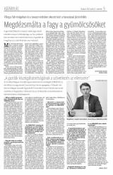 Krónika XIX. évfolyam, 80. szám